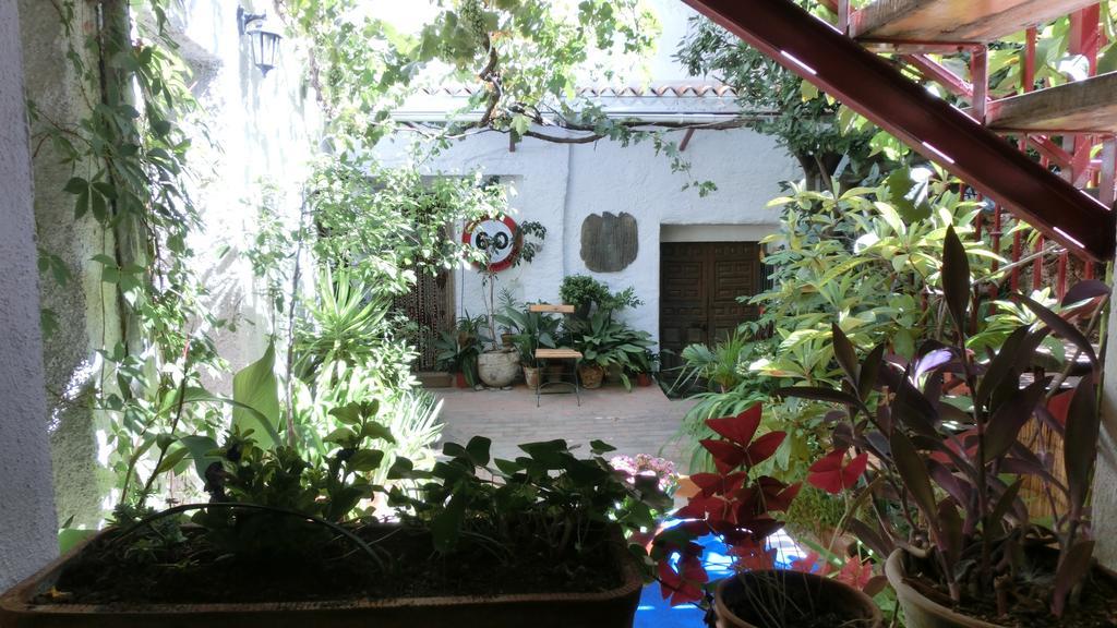 Al Sil Ram Apartment Alfacar Room photo